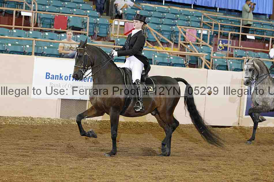 Proof 12yn_05239