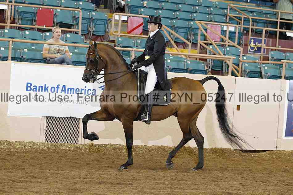 Proof 12yn_05247