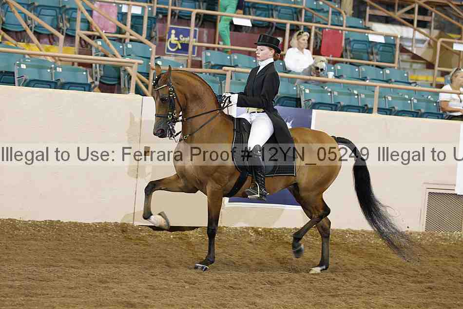 Proof 12yn_05249