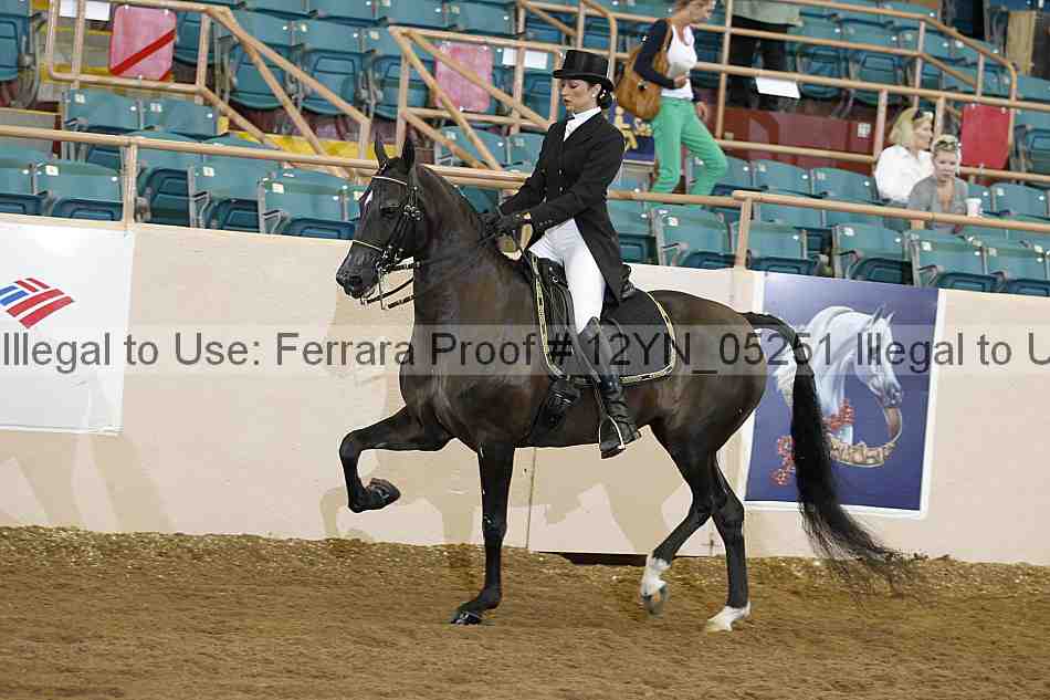 Proof 12yn_05251