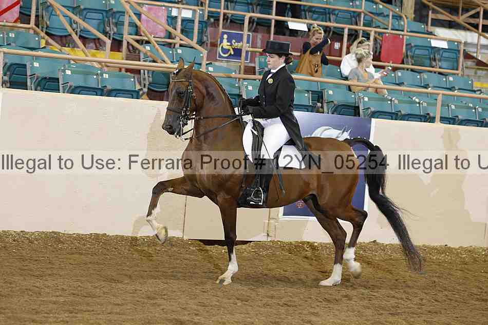 Proof 12yn_05254