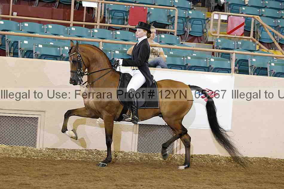Proof 12yn_05267