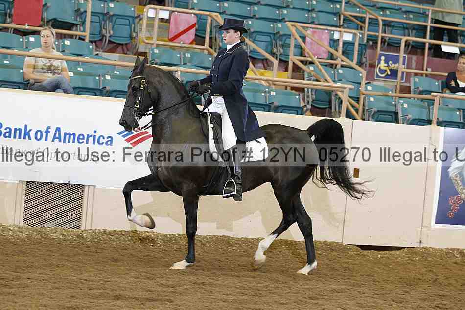 Proof 12yn_05270