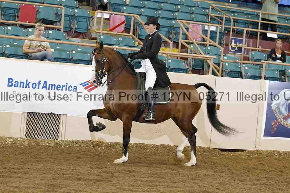 Proof 12yn_05271