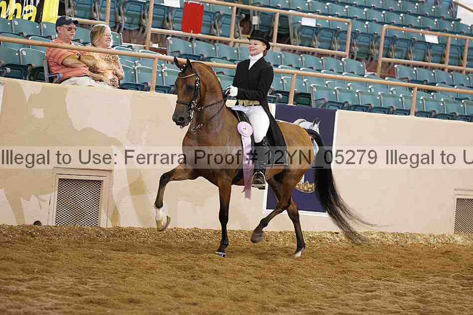 Proof 12yn_05279