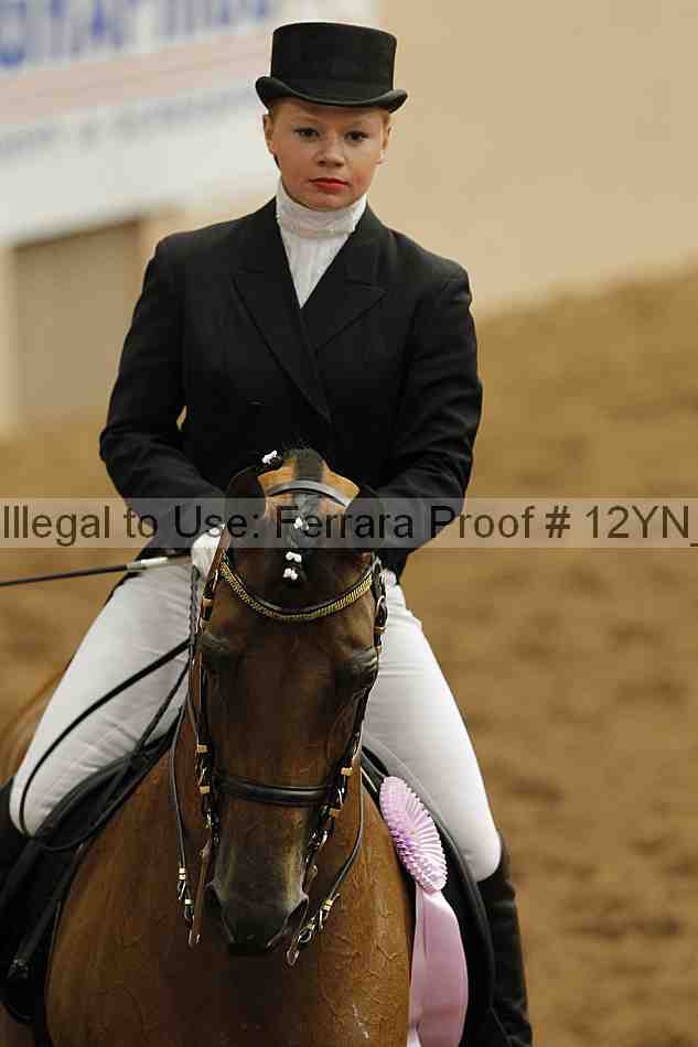 Proof 12yn_05284
