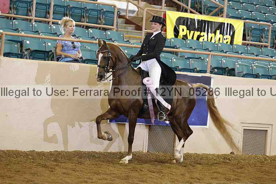 Proof 12yn_05286