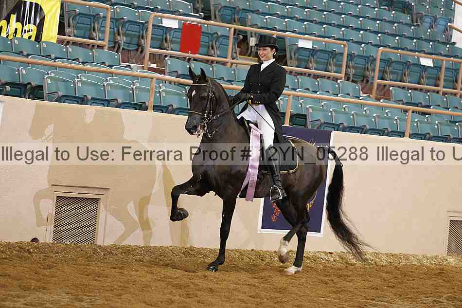 Proof 12yn_05288