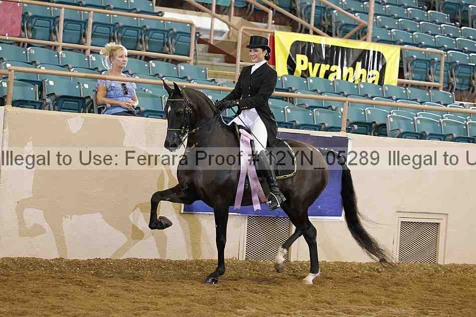 Proof 12yn_05289
