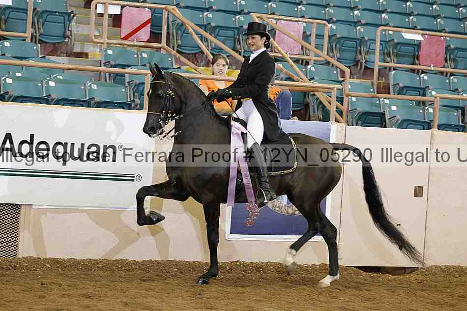 Proof 12yn_05290