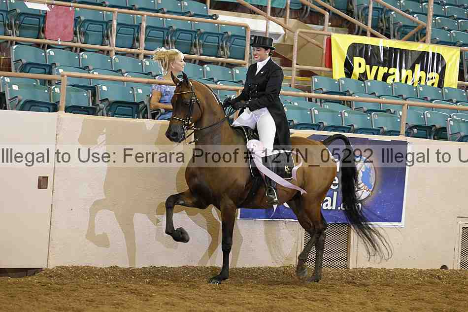 Proof 12yn_05292