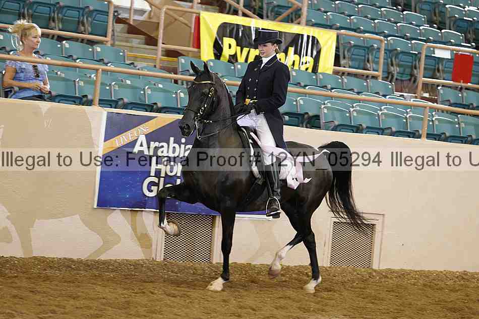 Proof 12yn_05294