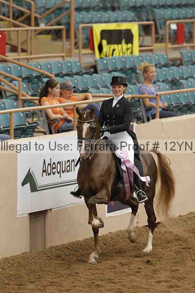 Proof 12yn_05295