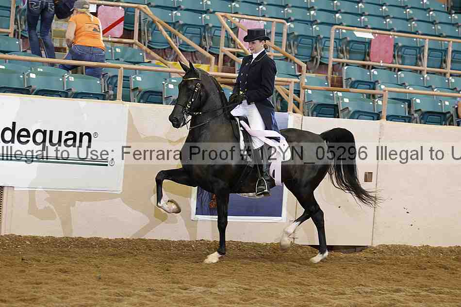 Proof 12yn_05296