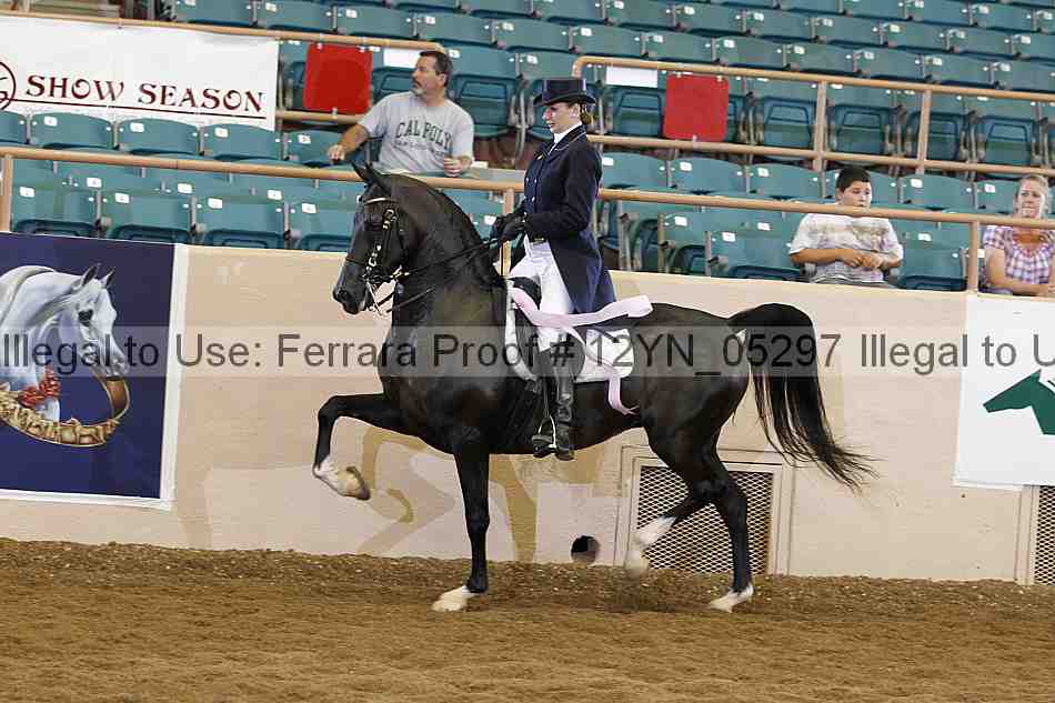 Proof 12yn_05297