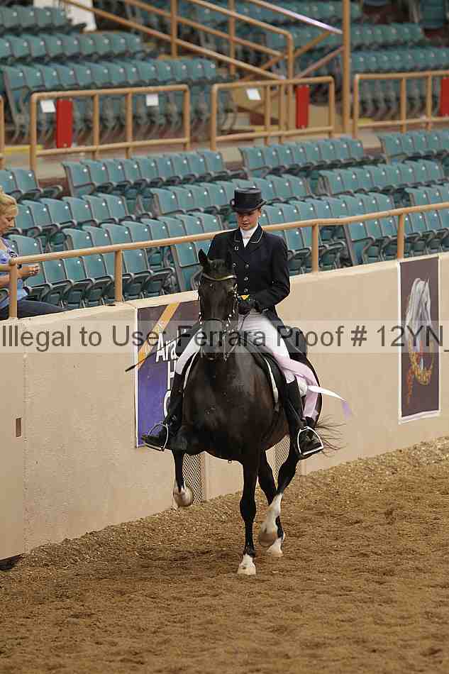 Proof 12yn_05304