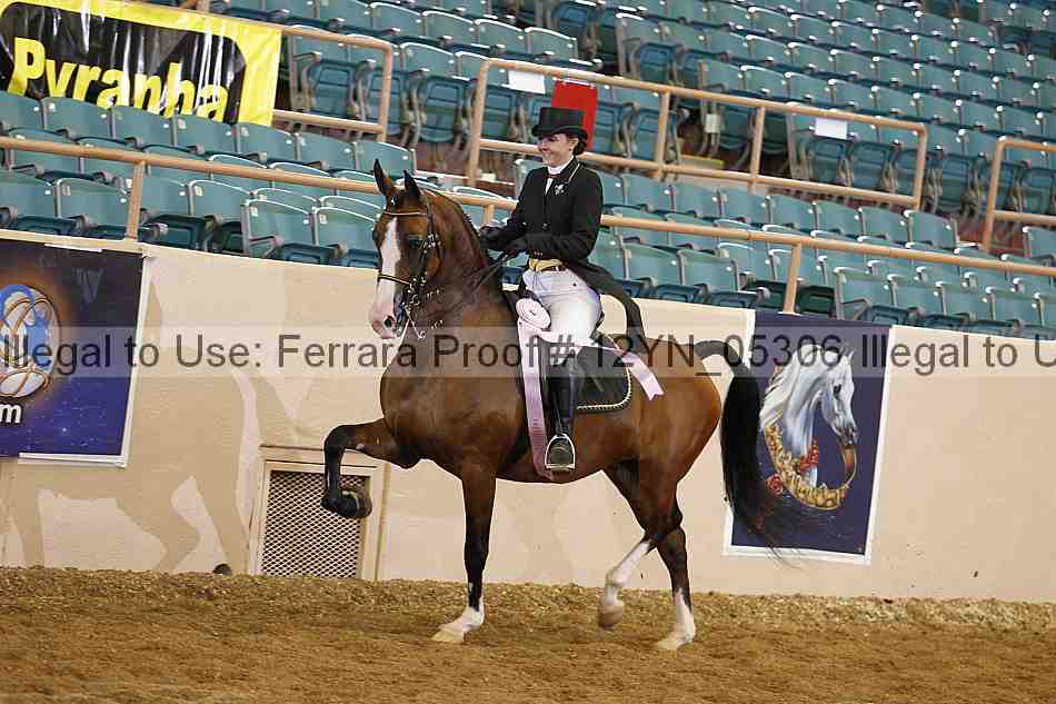 Proof 12yn_05306