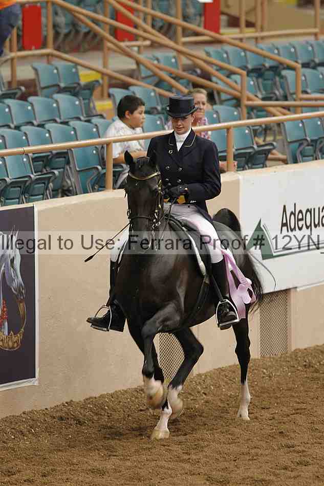 Proof 12yn_05308