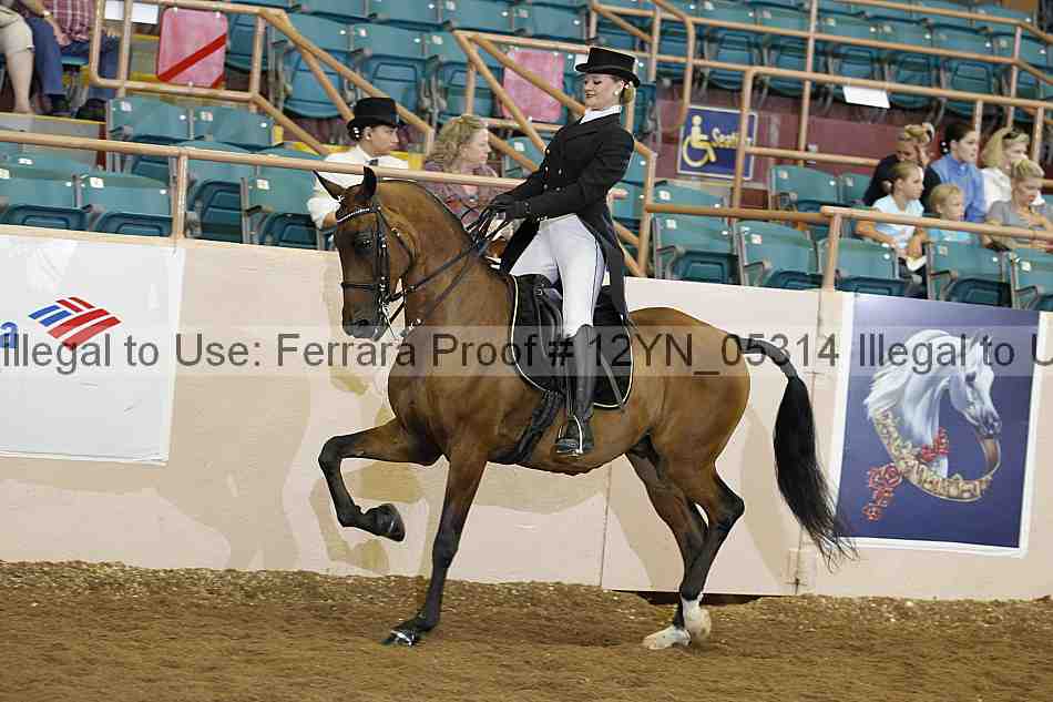 Proof 12yn_05314