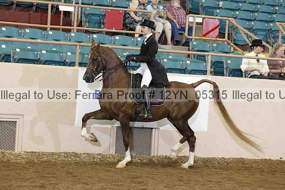 Proof 12yn_05315