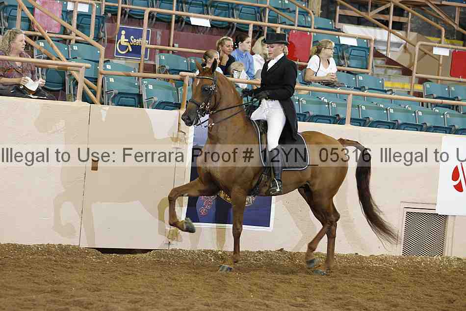 Proof 12yn_05316