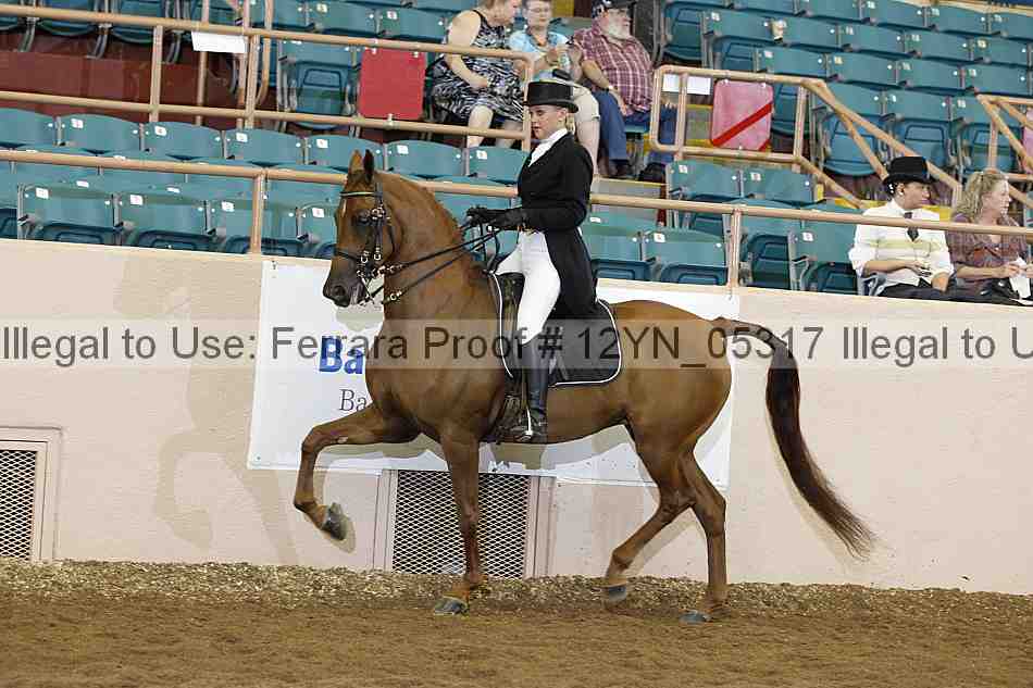 Proof 12yn_05317