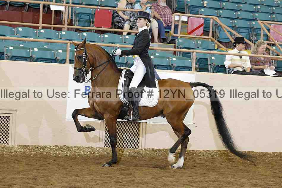 Proof 12yn_05319