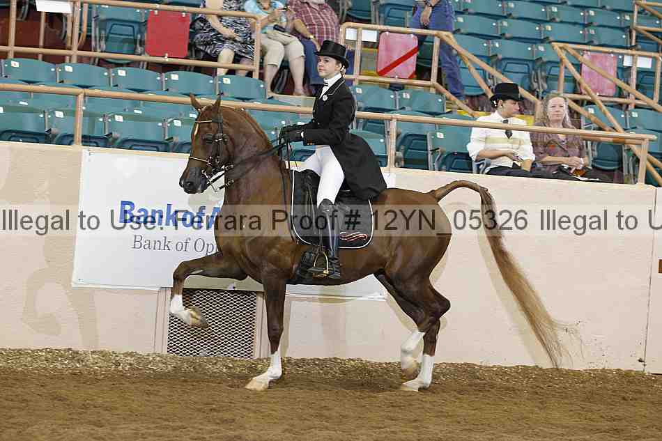 Proof 12yn_05326