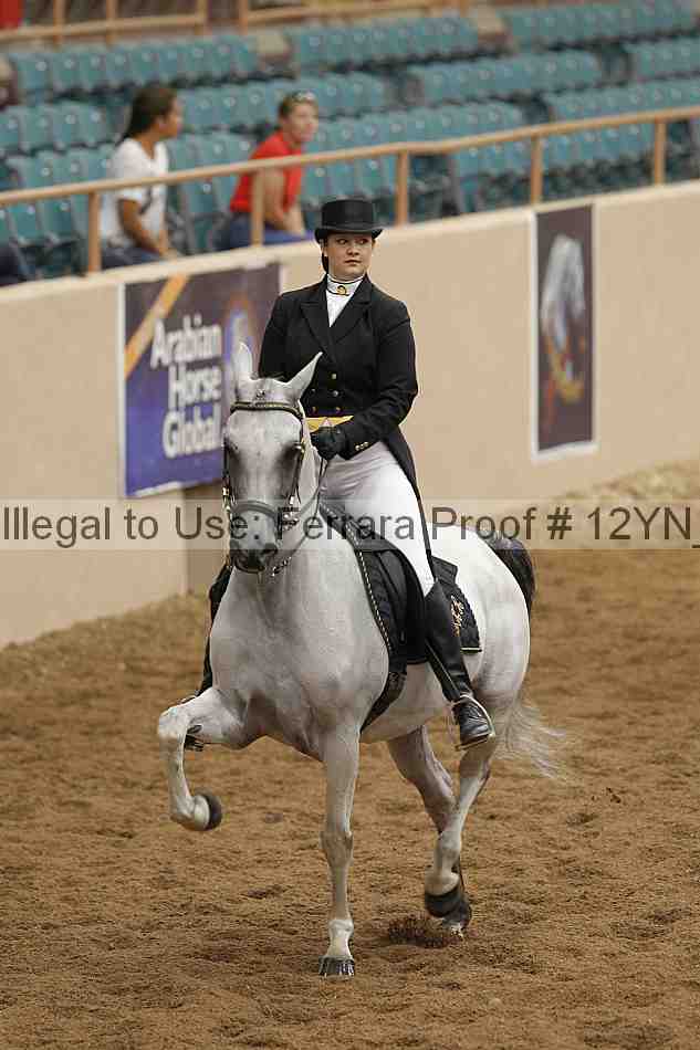 Proof 12yn_05335