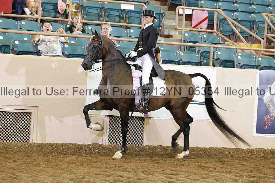 Proof 12yn_05354