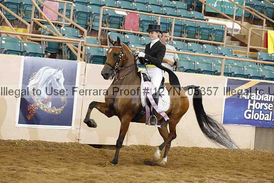 Proof 12yn_05357