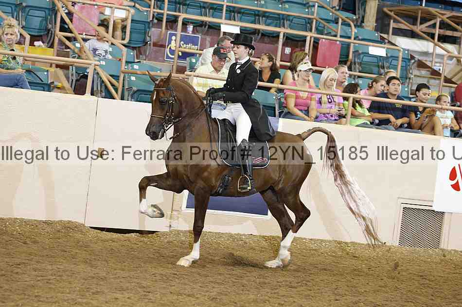 Proof 12yn_15185