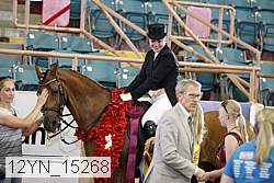 12yn_15268 proof