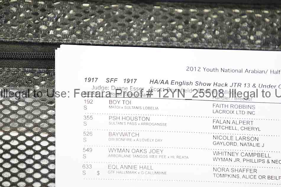 Proof 12yn_25508