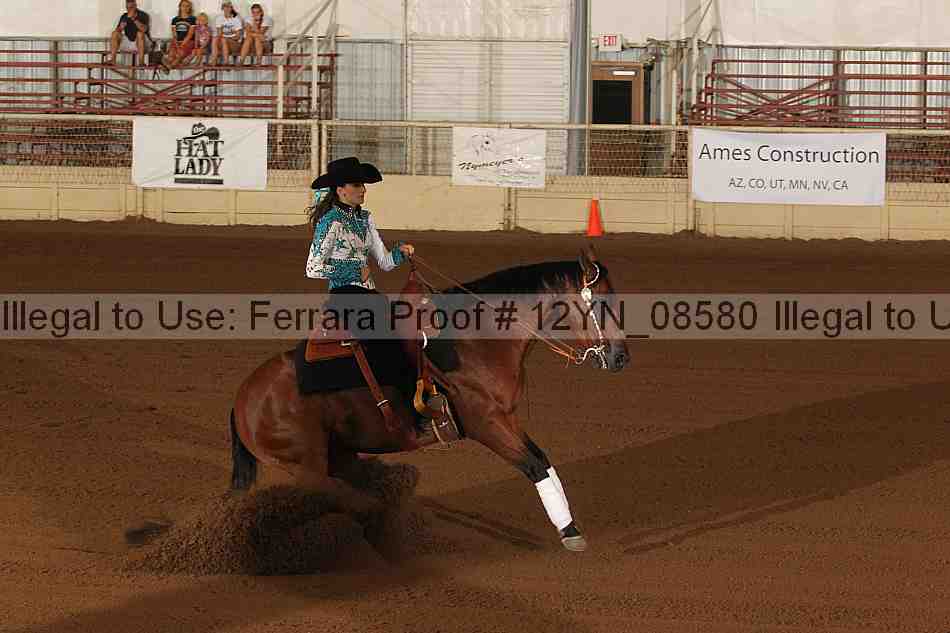 Proof 12yn_08580