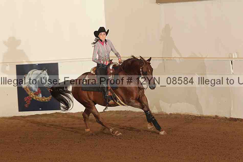 Proof 12yn_08584