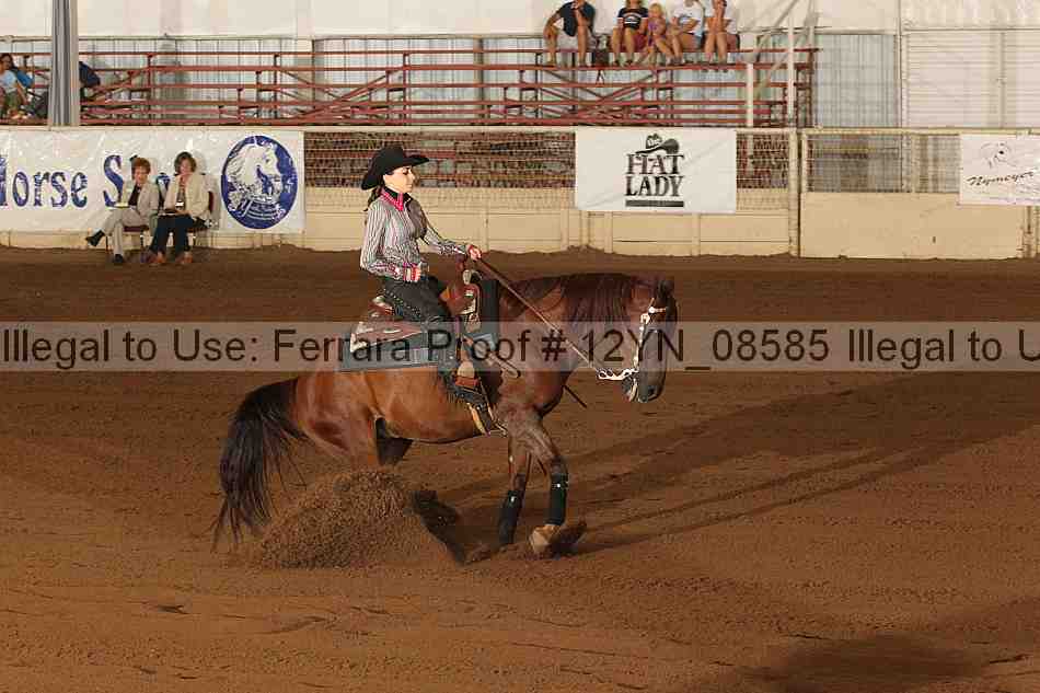 Proof 12yn_08585