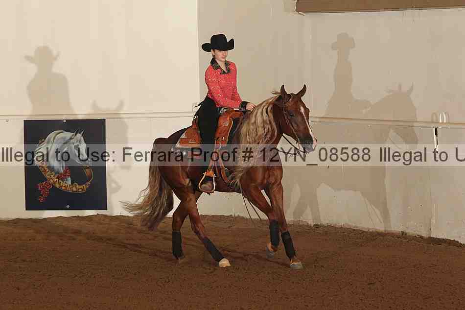 Proof 12yn_08588