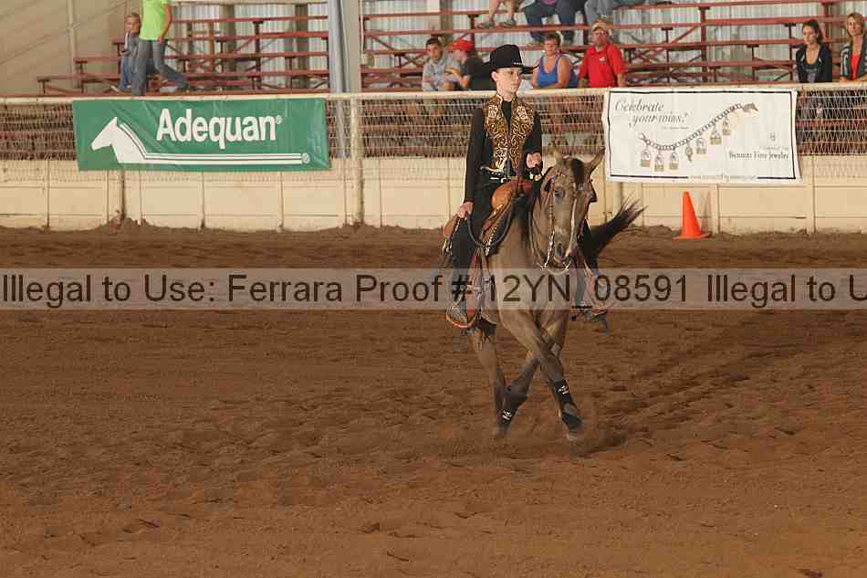 Proof 12yn_08591