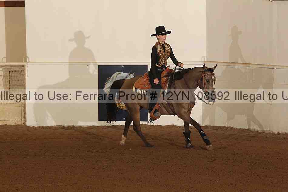 Proof 12yn_08592