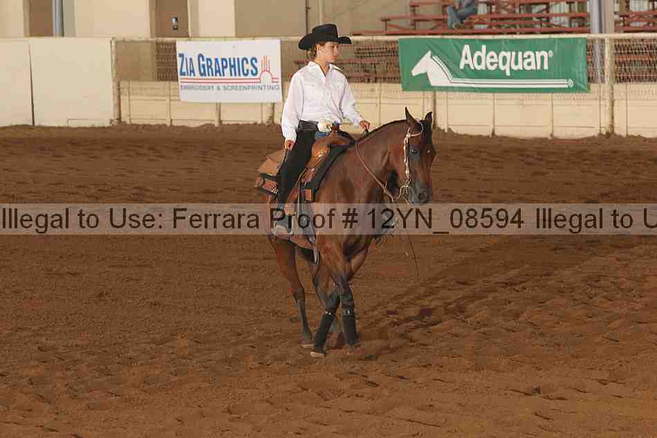 Proof 12yn_08594