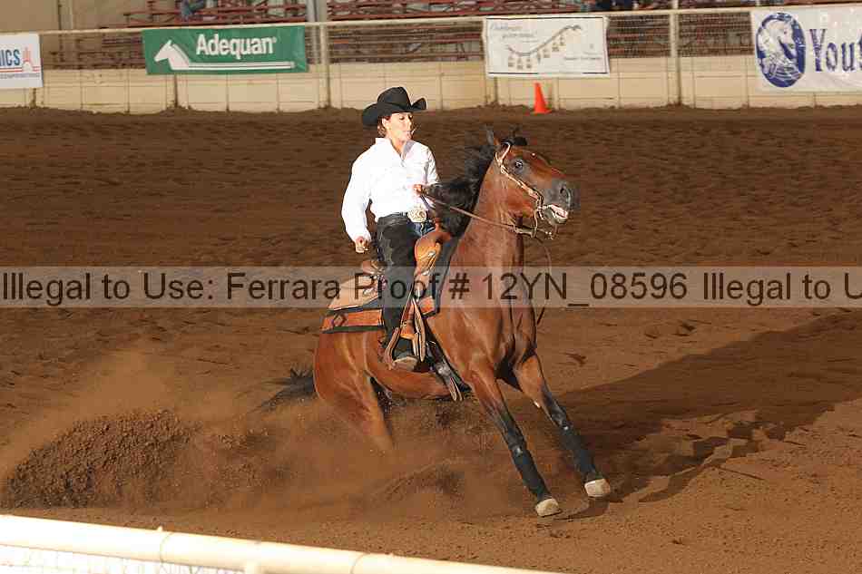Proof 12yn_08596