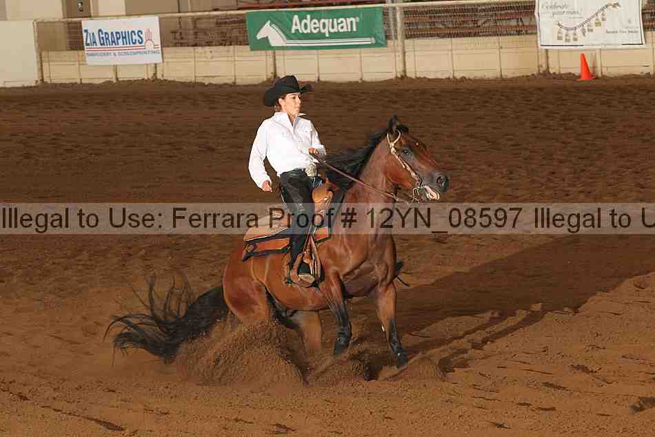Proof 12yn_08597
