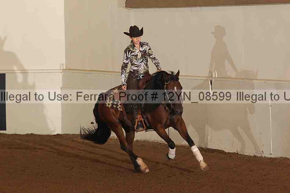 Proof 12yn_08599