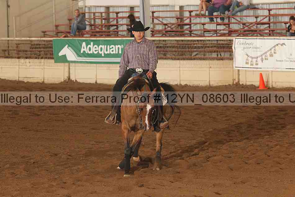 Proof 12yn_08603