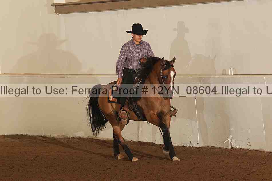 Proof 12yn_08604