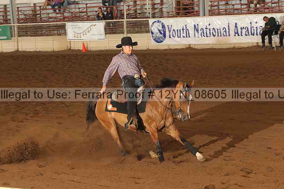 Proof 12yn_08605