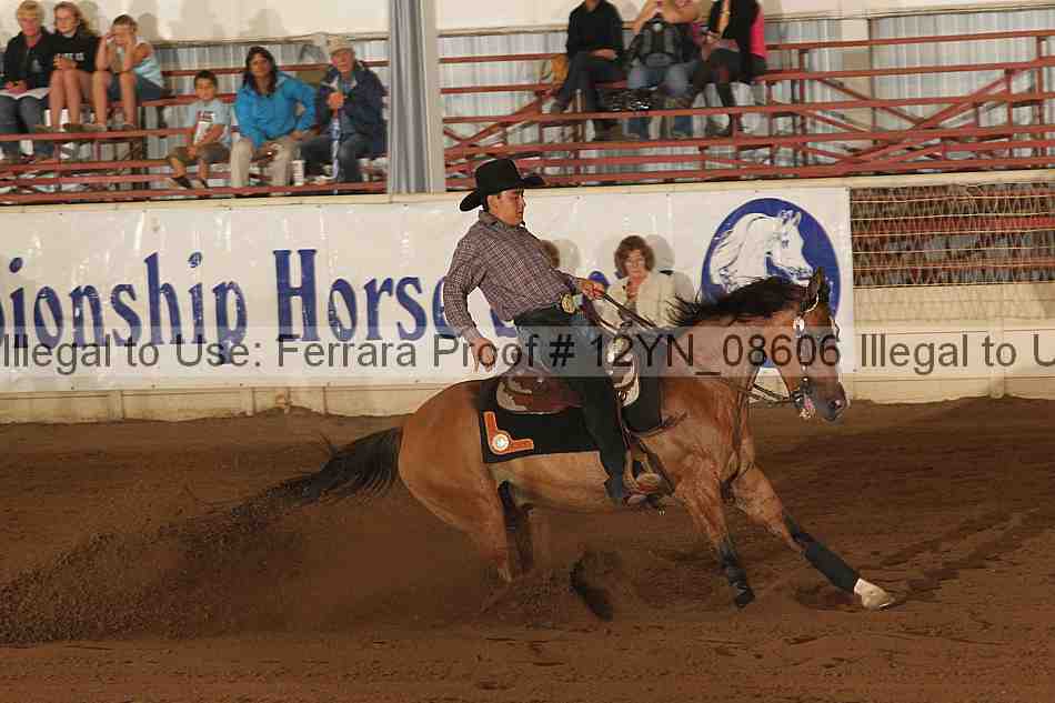Proof 12yn_08606