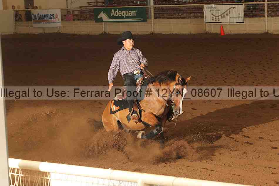 Proof 12yn_08607