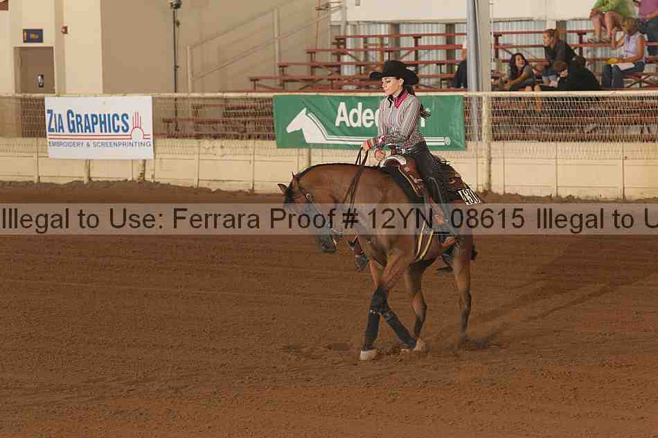 Proof 12yn_08615
